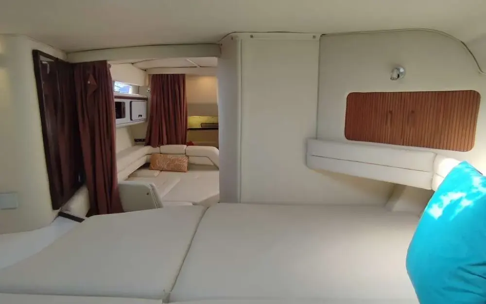 slider 16 Sea Ray  310 Sundancer
