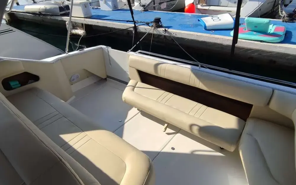 slider 18 Sea Ray  310 Sundancer
