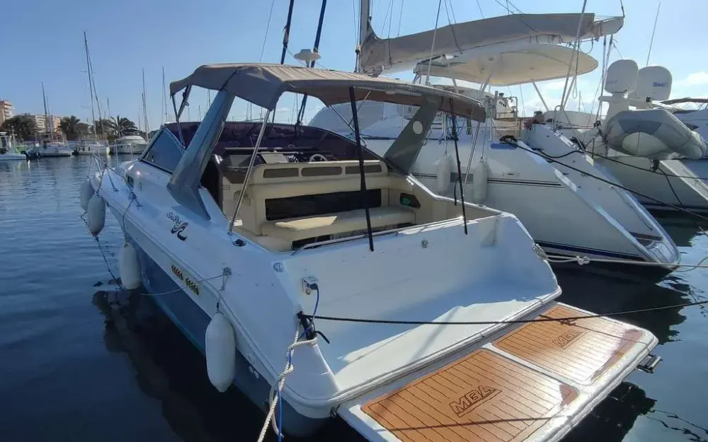 slider 1 Sea Ray  310 Sundancer