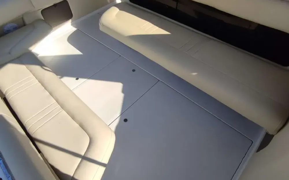 slider 19 Sea Ray  310 Sundancer