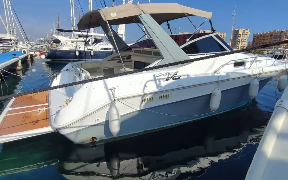 slider 8 Sea Ray  310 Sundancer