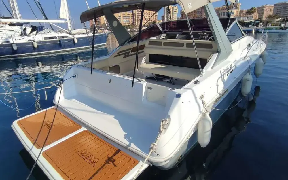 slider 0 Sea Ray  310 Sundancer