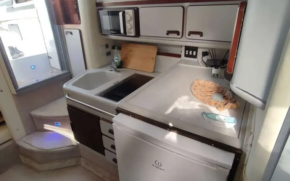 slider 13 Sea Ray  310 Sundancer