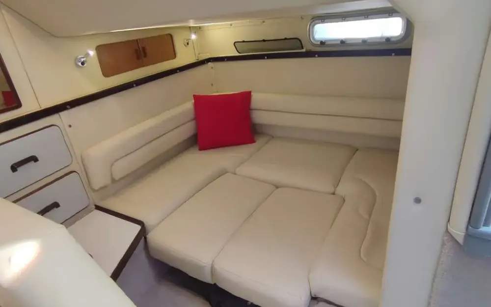 slider 14 Sea Ray  310 Sundancer