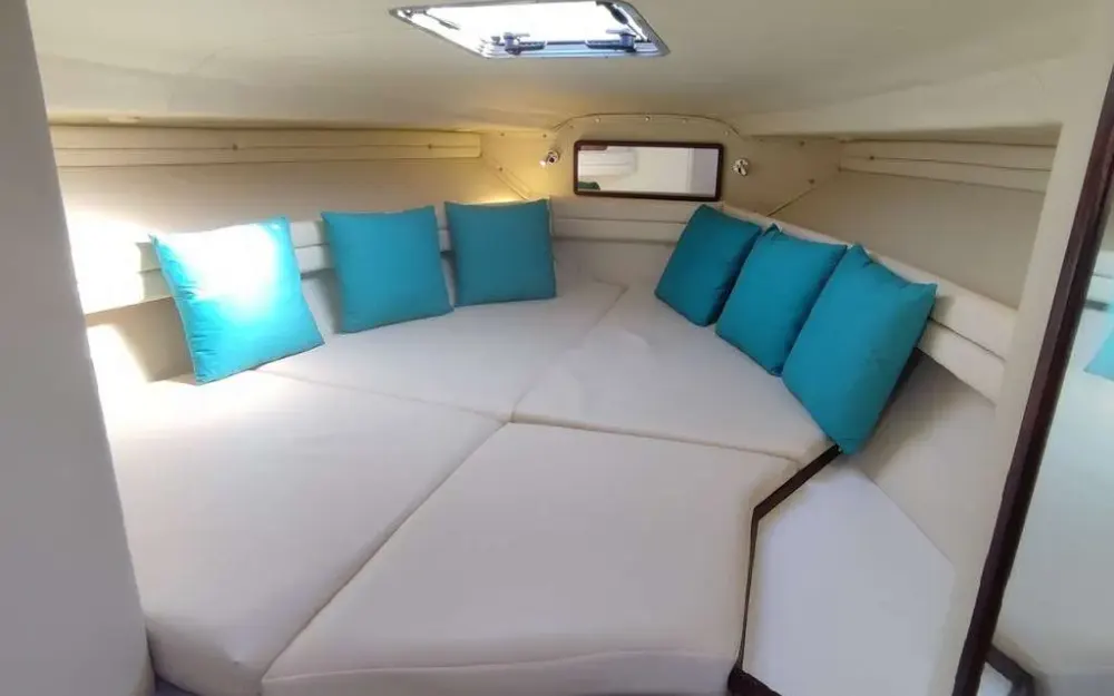 slider 16 Sea Ray  310 Sundancer