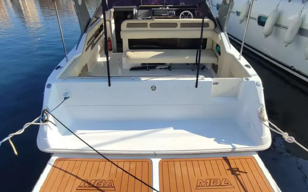 slider 7 Sea Ray  310 Sundancer