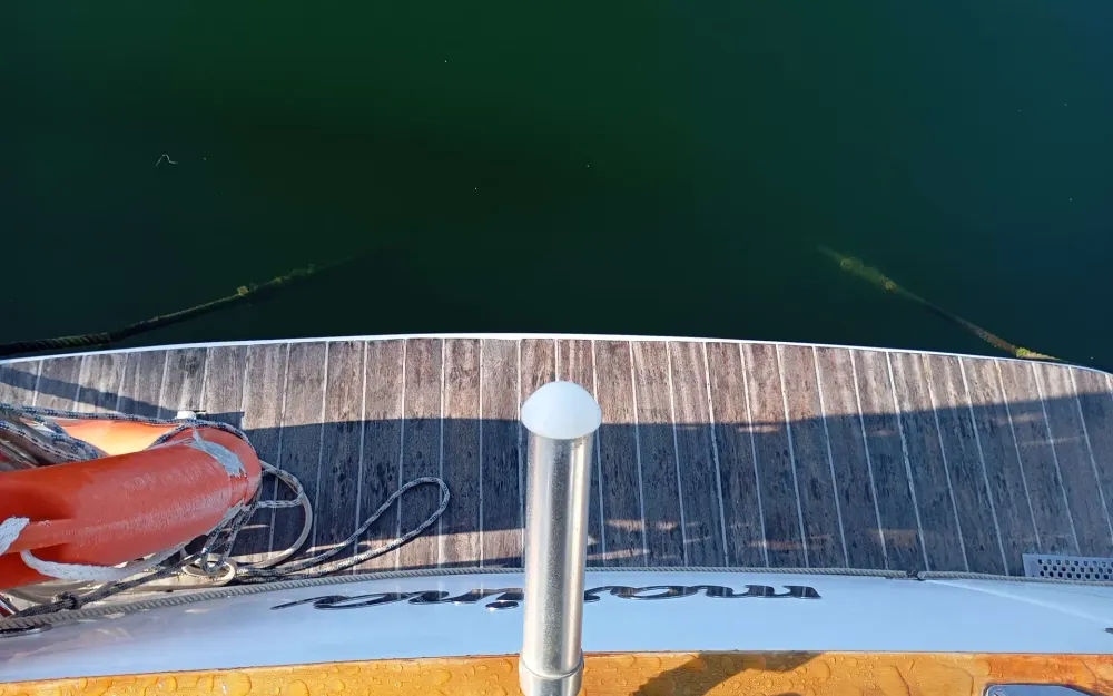 slider 10 Starfisher  760