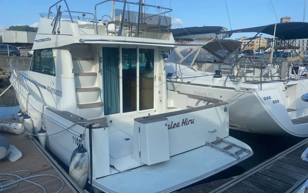 slider 39 Starfisher  1100