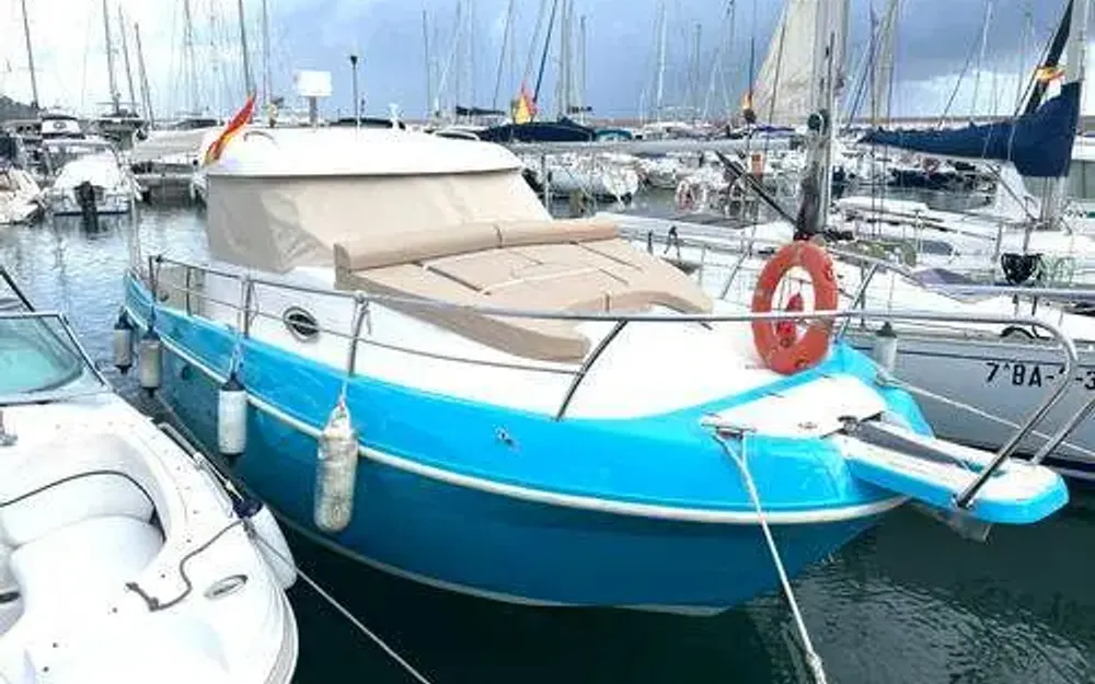 slider 0 Felco Delfyn