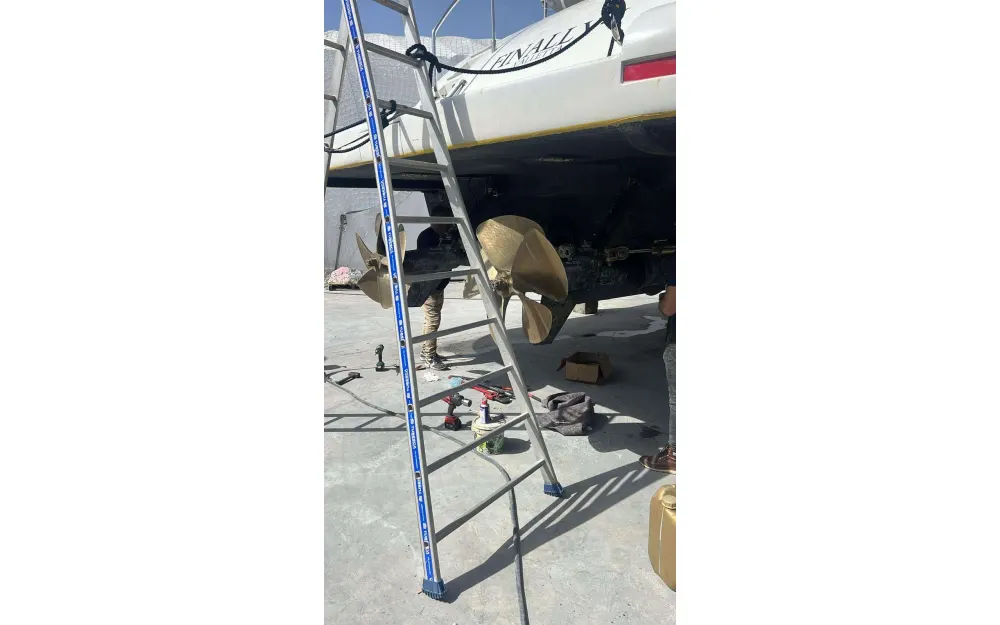 slider 31 Mangusta  72