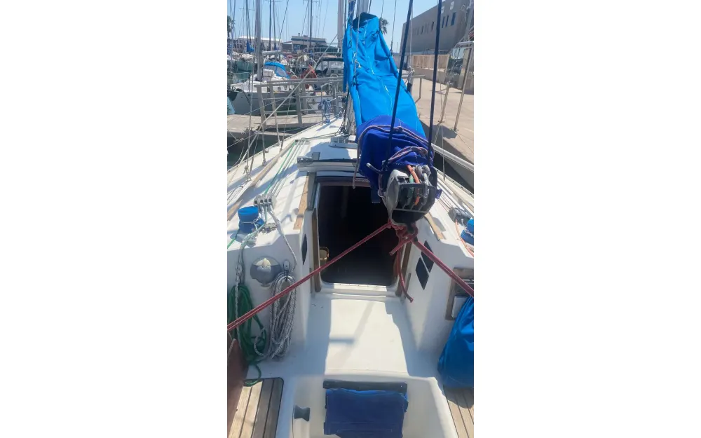 slider 11 Jeanneau Sun Odyssey 31