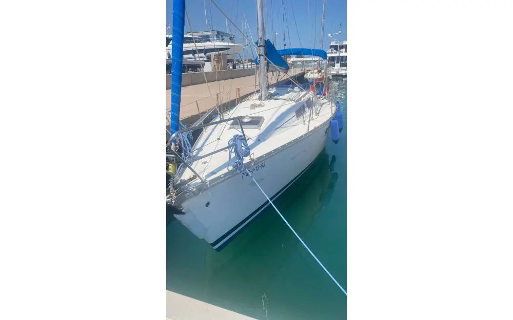 slider 3 Jeanneau Sun Odyssey 31