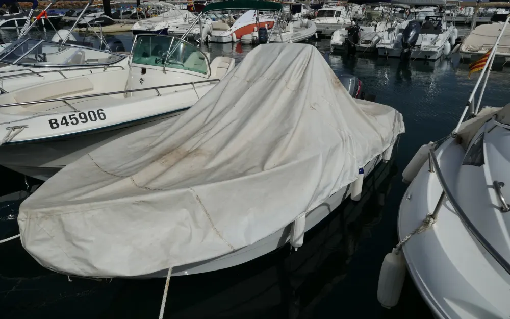 slider 12 Conero Windy