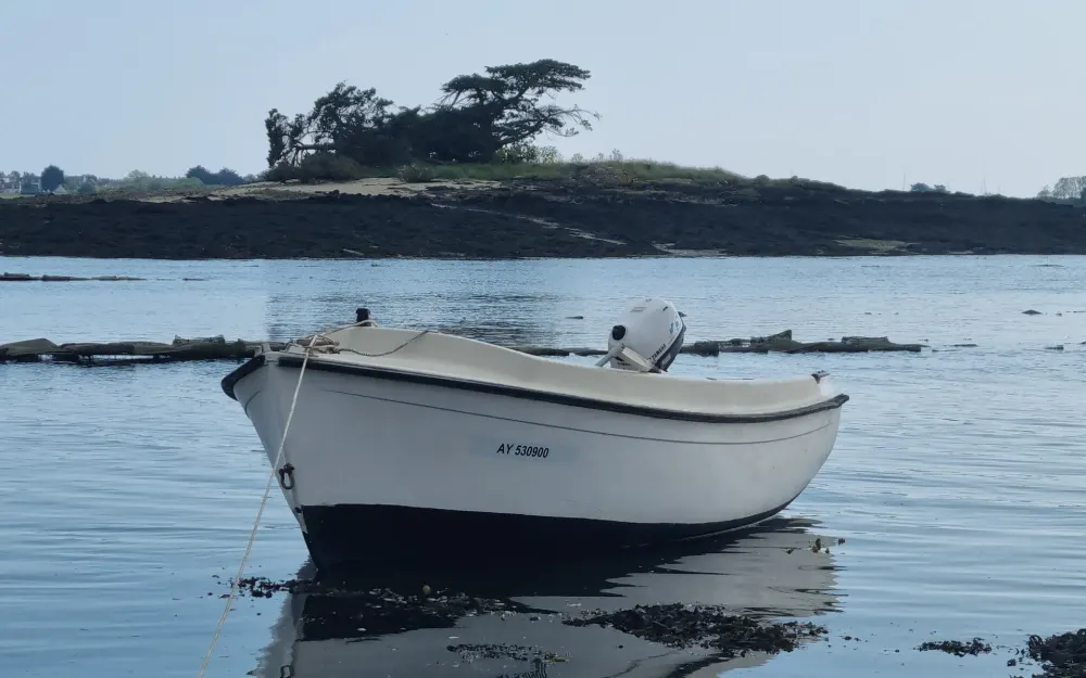 slider 1 Beneteau  390