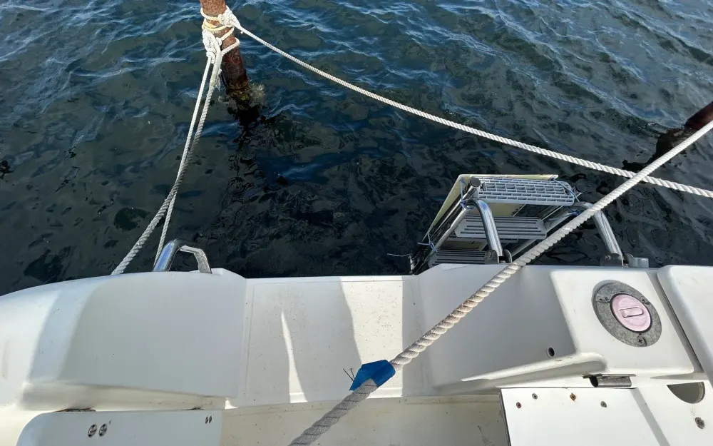slider 13 Ocqueteau  695