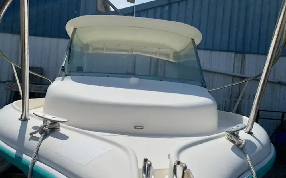 slider 6 Ocqueteau  485 Timonier