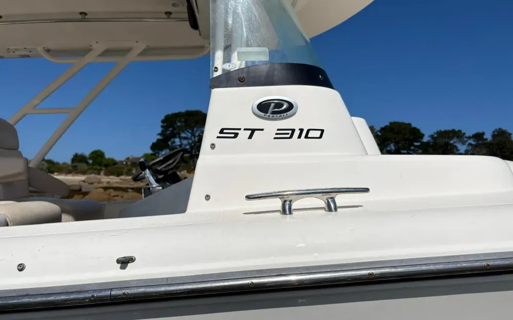 slider 12 Pursuit 310 ST