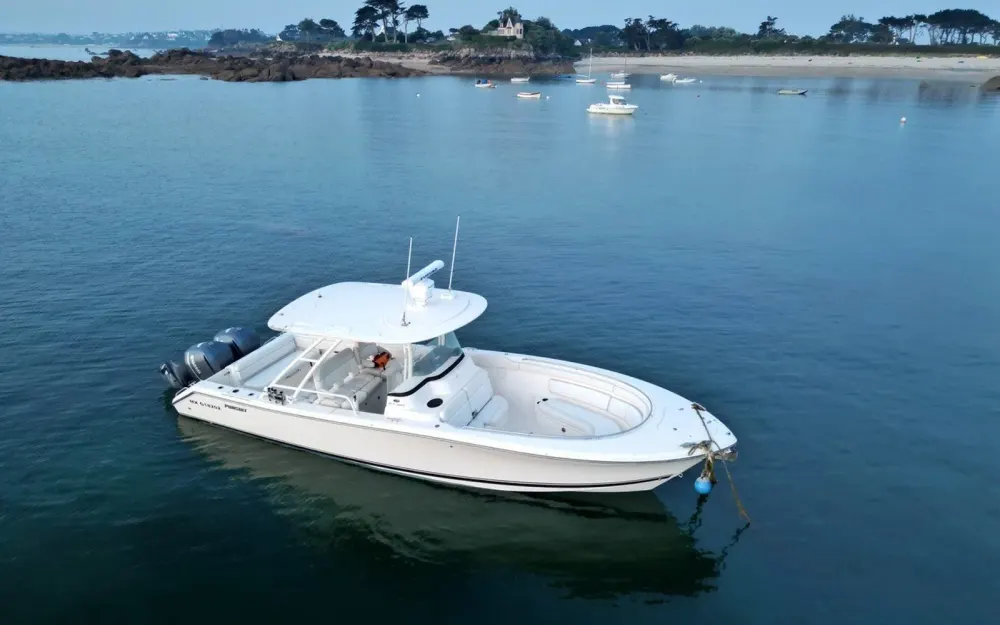 slider 24 Pursuit 310 ST
