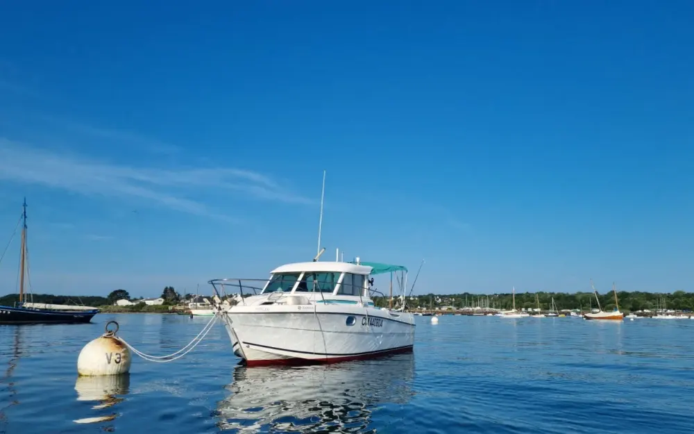 slider 6 Jeanneau Merry Fisher 695