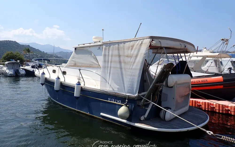 slider 19 Zeta Group Goldstar 320