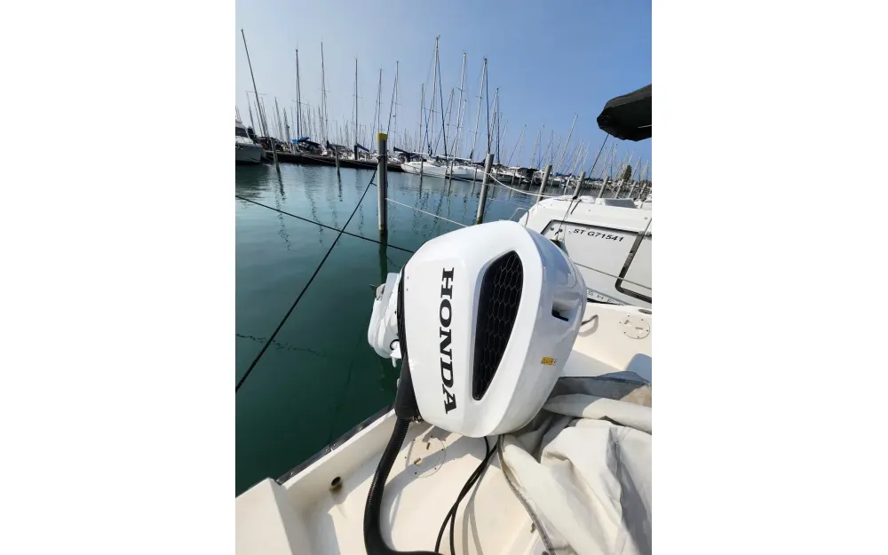 slider 10 Seaswirl Striper 2301 Walkaround