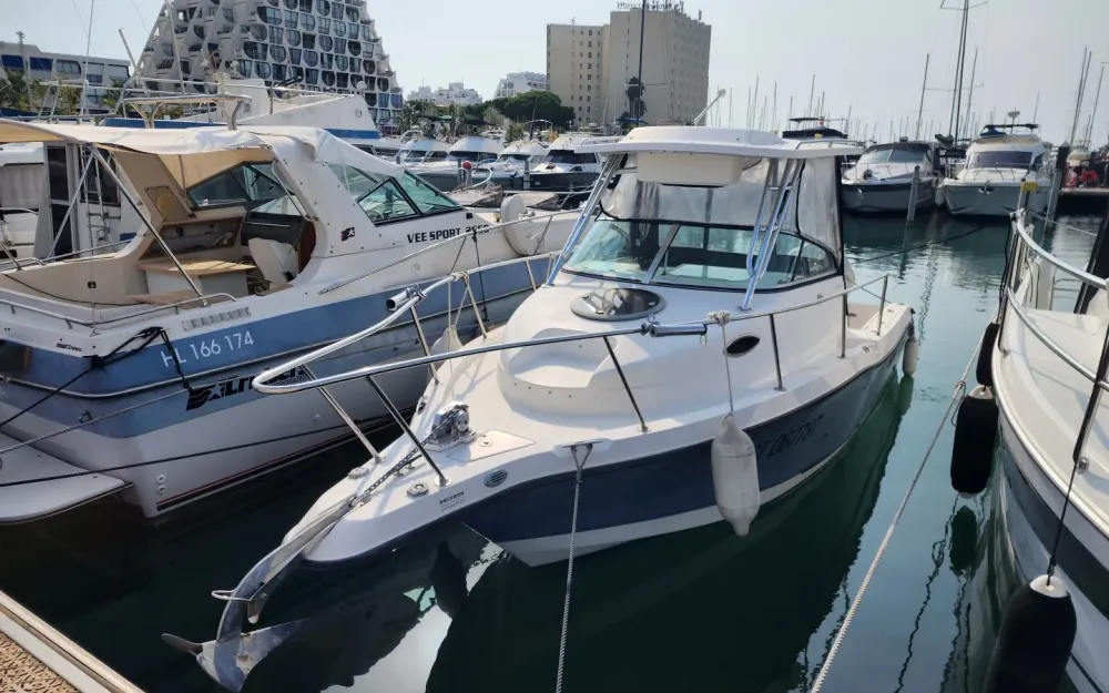 slider 12 Seaswirl Striper 2301 Walkaround