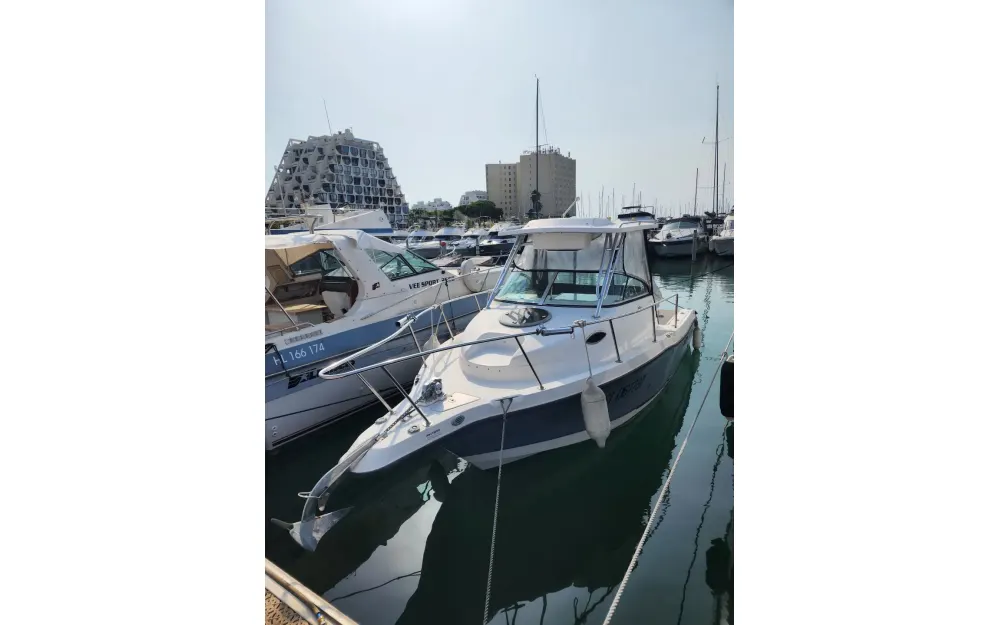 slider 0 Seaswirl Striper 2301 Walkaround
