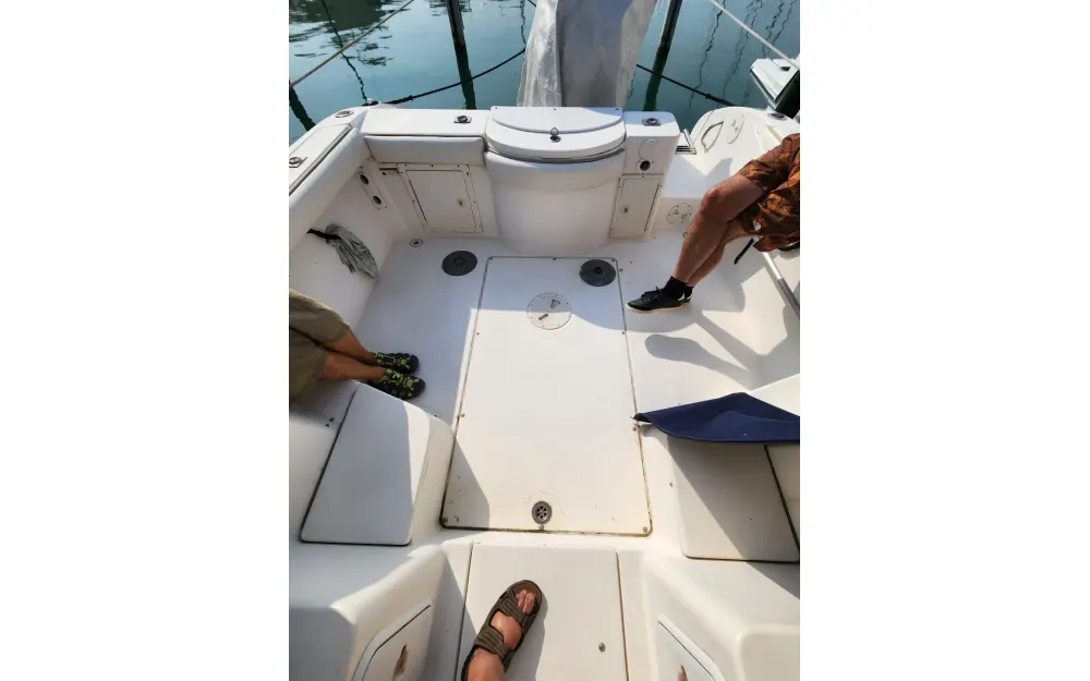 slider 5 Seaswirl Striper 2301 Walkaround