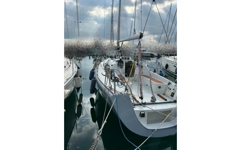 slider 3 Class Yacht Class 33