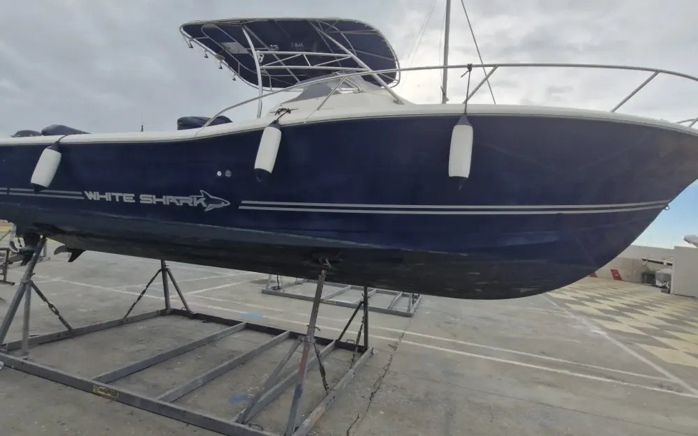 slider 11 White Shark  298