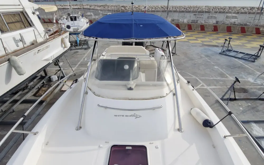 slider 8 White Shark  298
