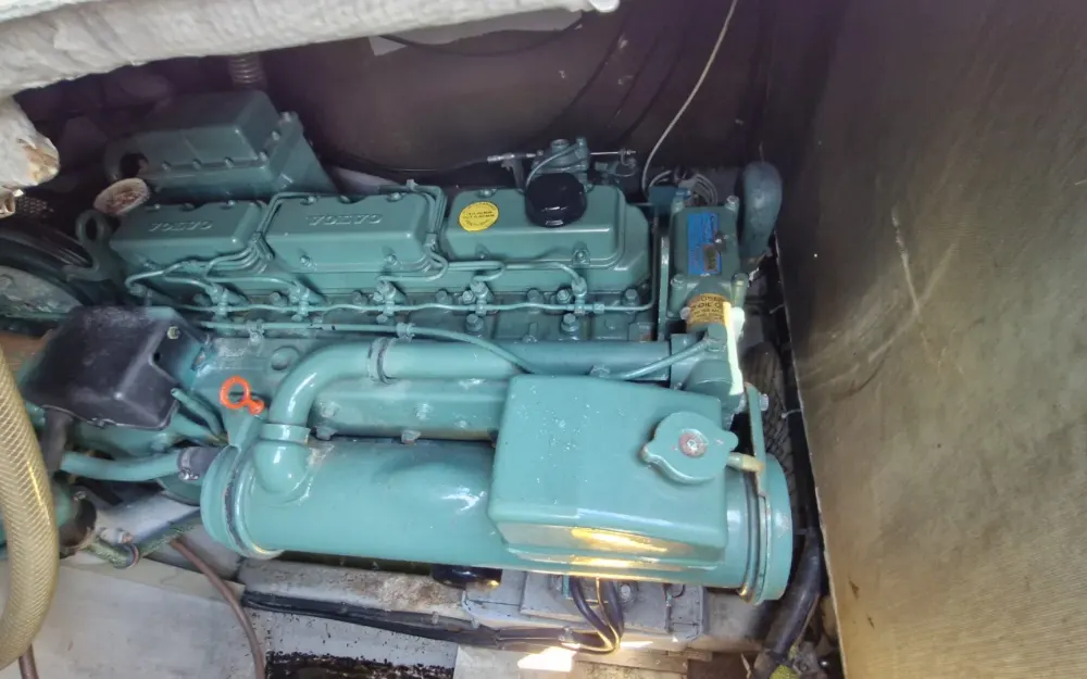 slider 10 Guy Couach  950