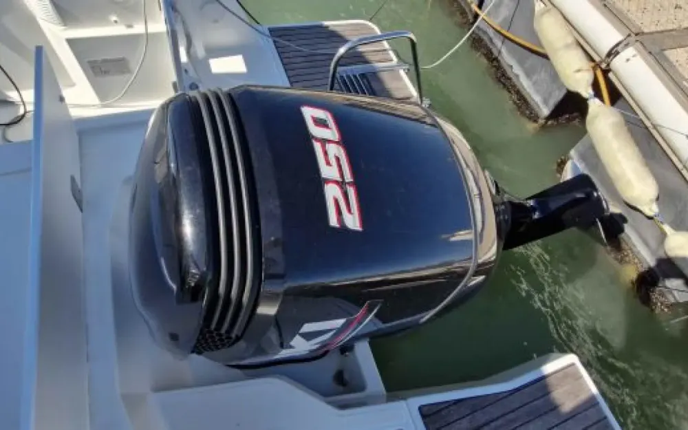 slider 4 Jeanneau Merry Fisher 795