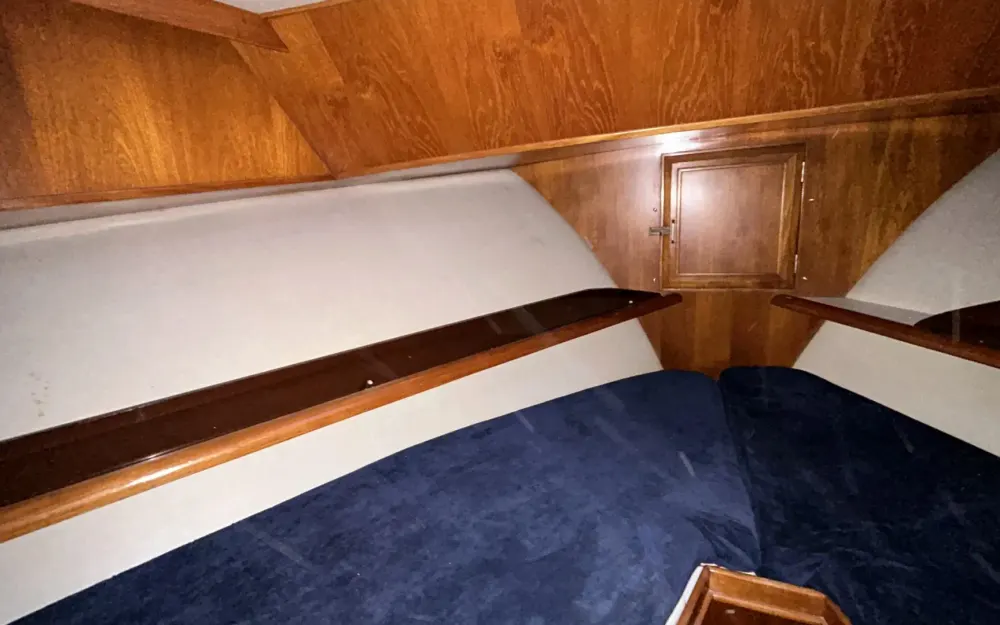 slider 10 Ocean Alexander  38