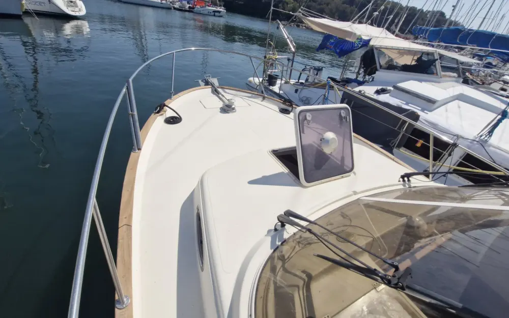slider 12 ACM Elite 31