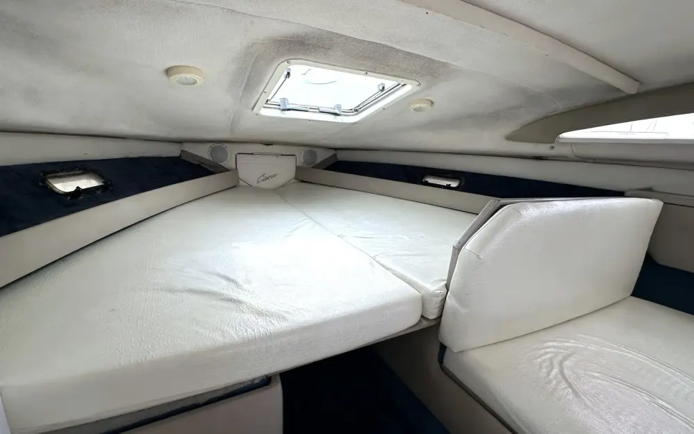 slider 14 Bayliner  2855