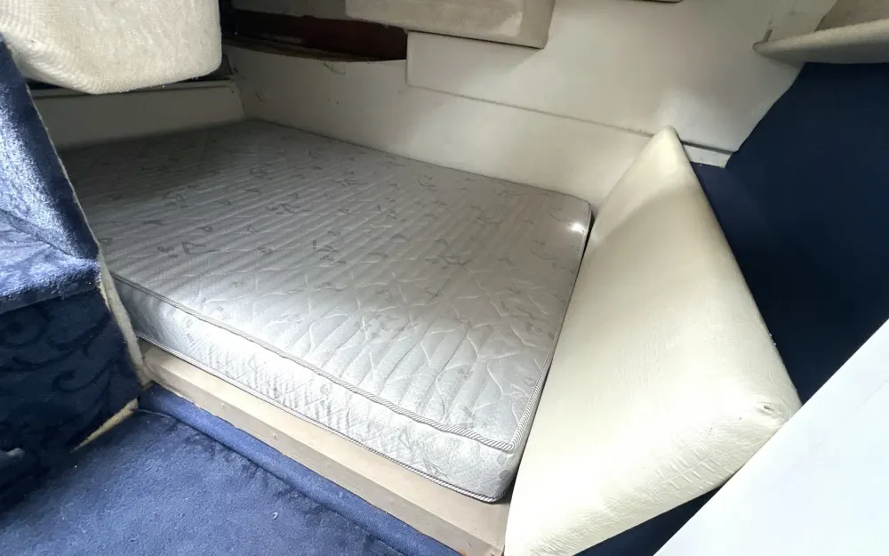 slider 16 Bayliner  2855