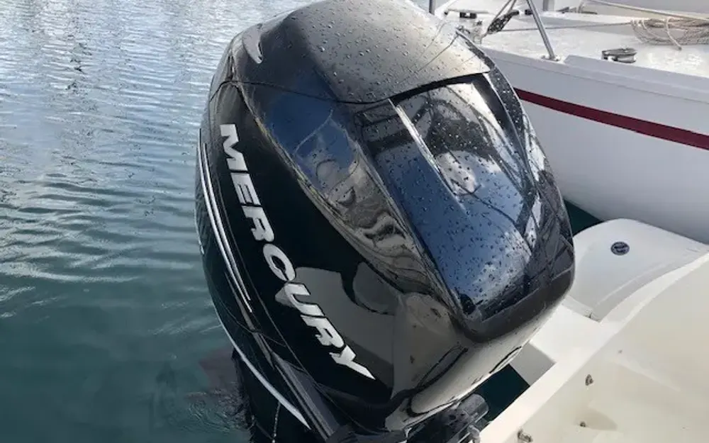 slider 7 Black Fin Elegance 8