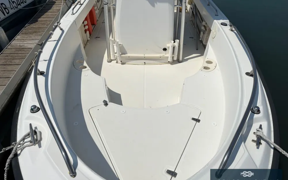 slider 3 Boston Whaler  210 Outrage