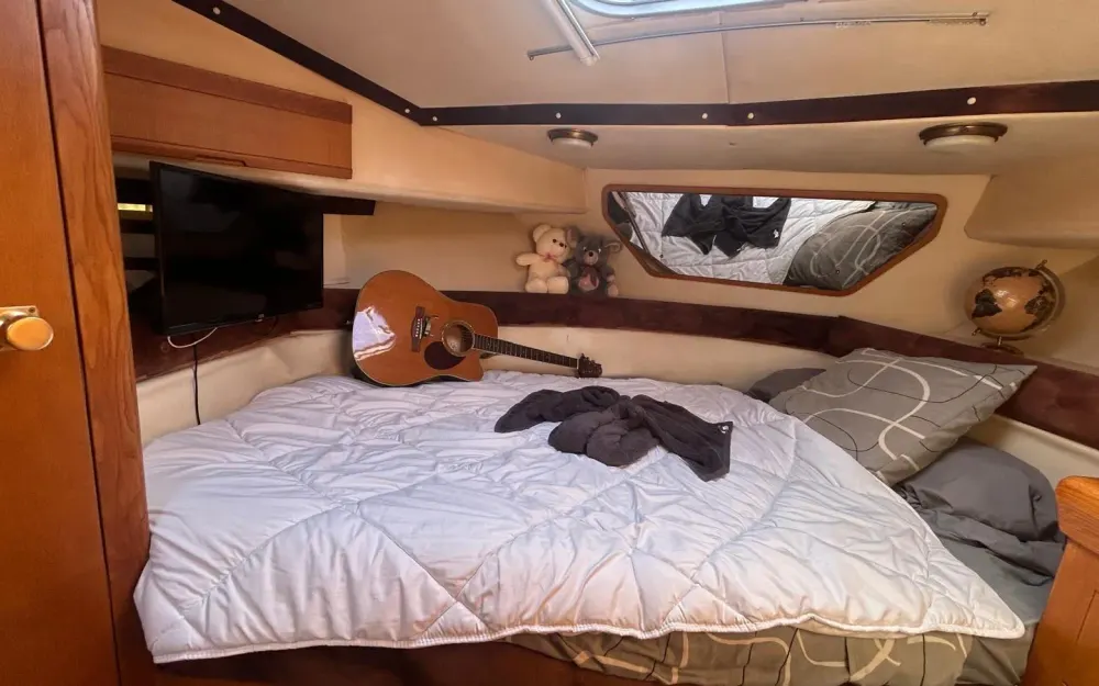 slider 16 Sealine  365 Sport Brigde