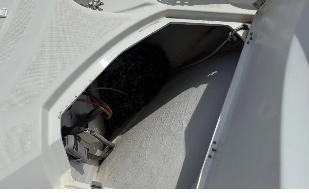 slider 33 Beneteau Antares 36
