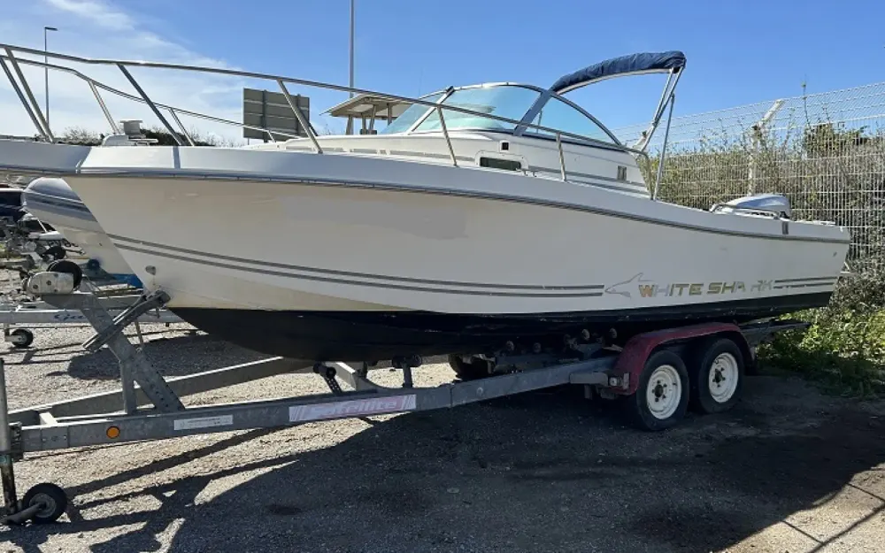 slider 1 White Shark  226