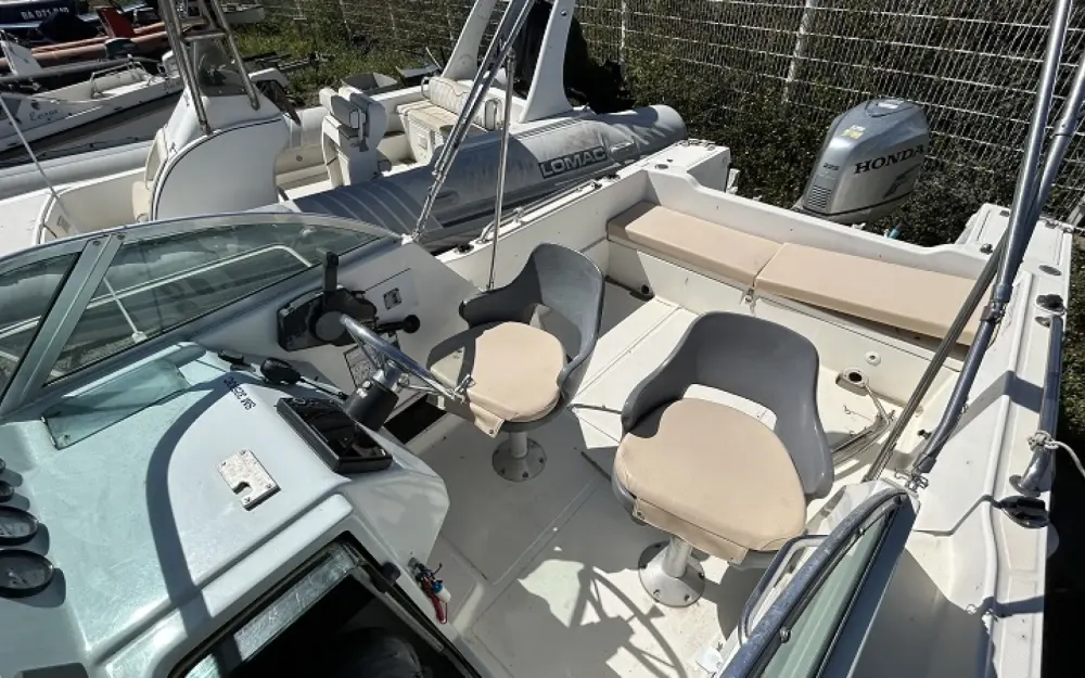 slider 2 White Shark  226