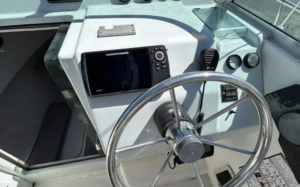 slider 5 White Shark  226