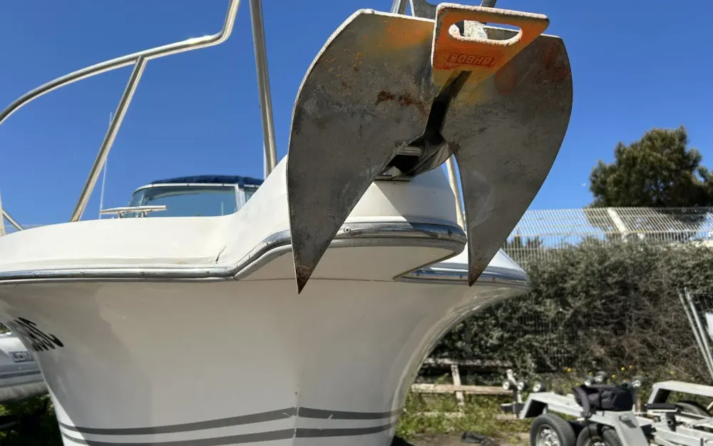 slider 7 White Shark  226