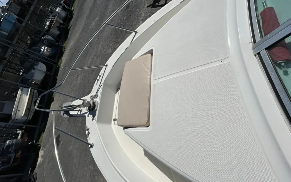 slider 8 White Shark  226