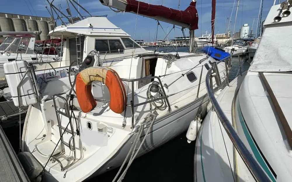 slider 7 Gibert Marine Gib Sea 33