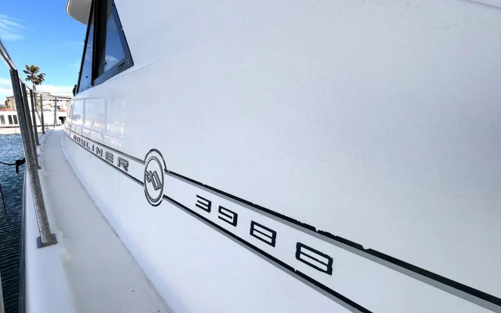 slider 19 Bayliner  3988