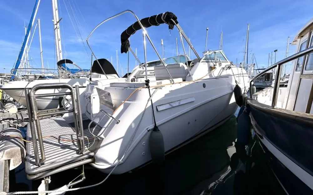 slider 2 Cruisers Rogue 2670