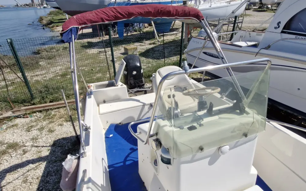 slider 10 White Shark  175